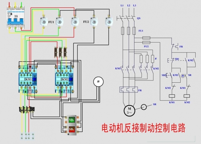 常用電動機控制實物接線圖+原理圖(圖4) 常用電動機控制實物接線圖+原理圖(圖4)